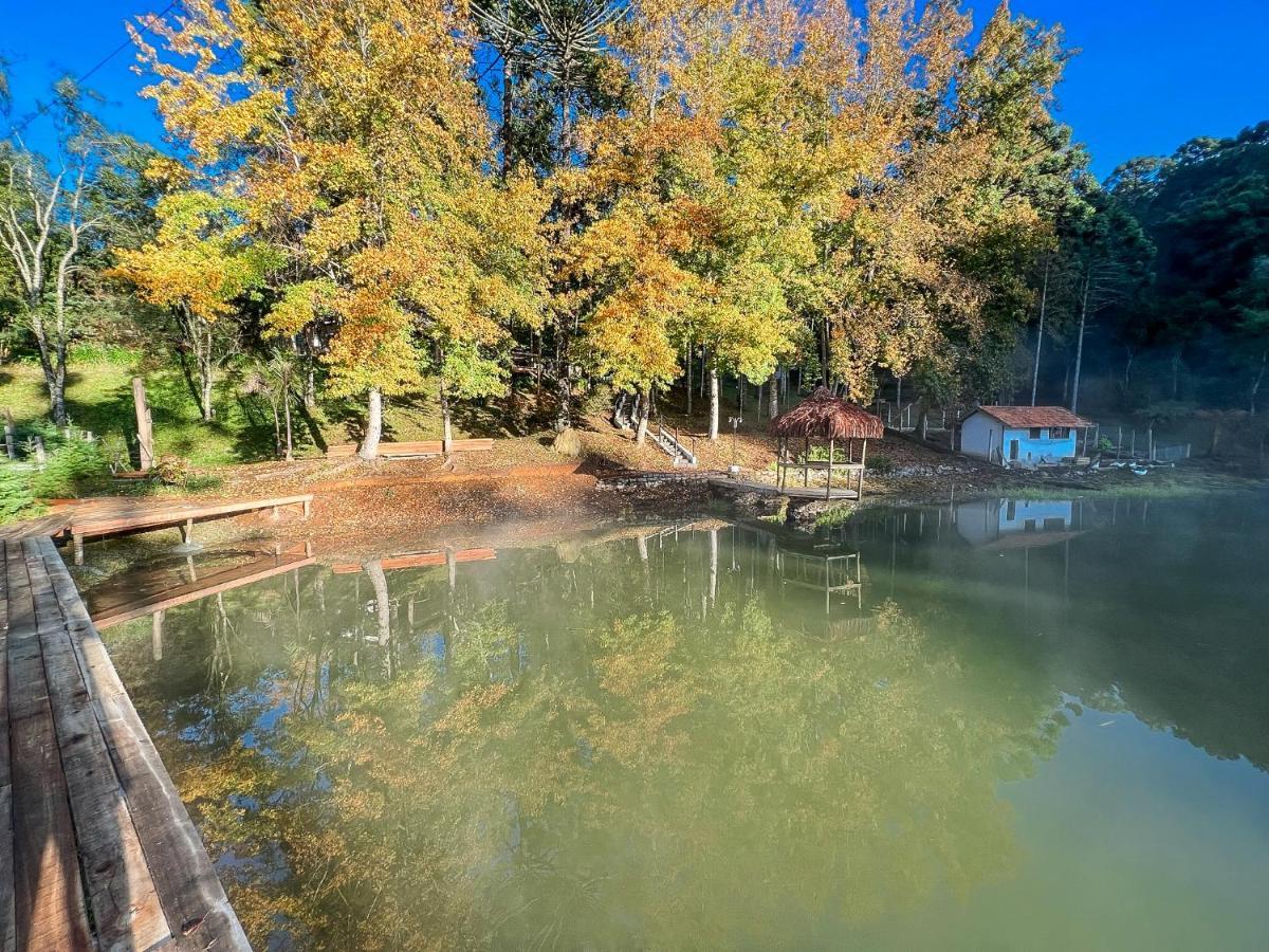 Cabana Da Arvore - Forestplace มงชิแวร์จิ ภายนอก รูปภาพ
