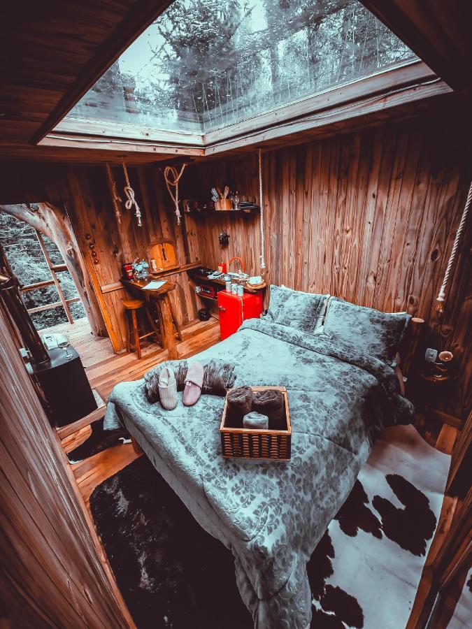 Cabana Da Arvore - Forestplace มงชิแวร์จิ ภายนอก รูปภาพ