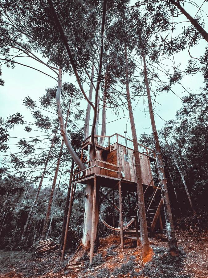 Cabana Da Arvore - Forestplace มงชิแวร์จิ ภายนอก รูปภาพ